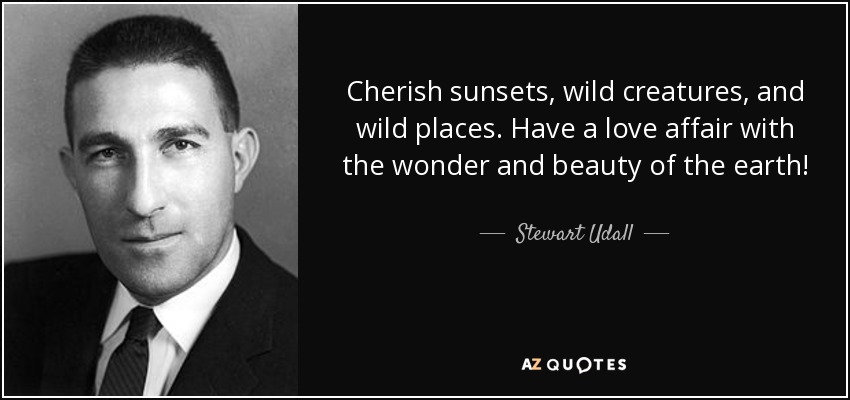 Cherish sunsets, wild creatures, and wild places. Have a love affair with the wonder and beauty of the earth! - Stewart Udall