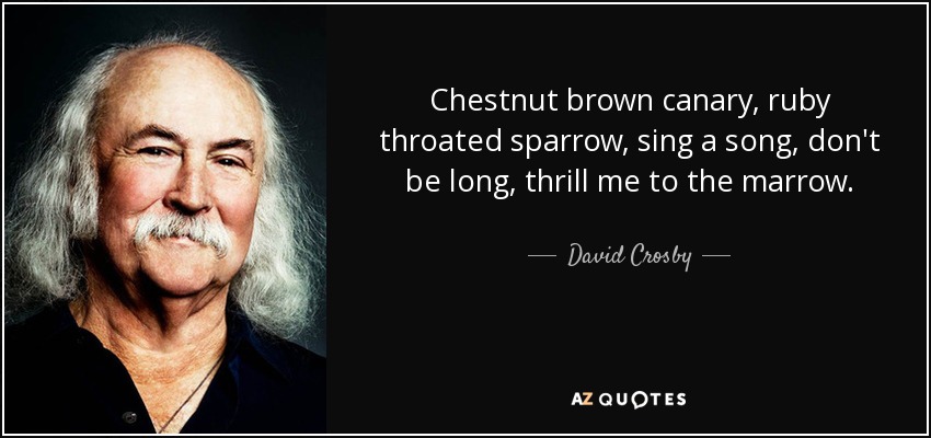 Chestnut brown canary, ruby throated sparrow, sing a song, don't be long, thrill me to the marrow. - David Crosby