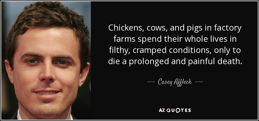 Chickens, cows, and pigs in factory farms spend their whole lives in filthy, cramped conditions, only to die a prolonged and painful death. - Casey Affleck