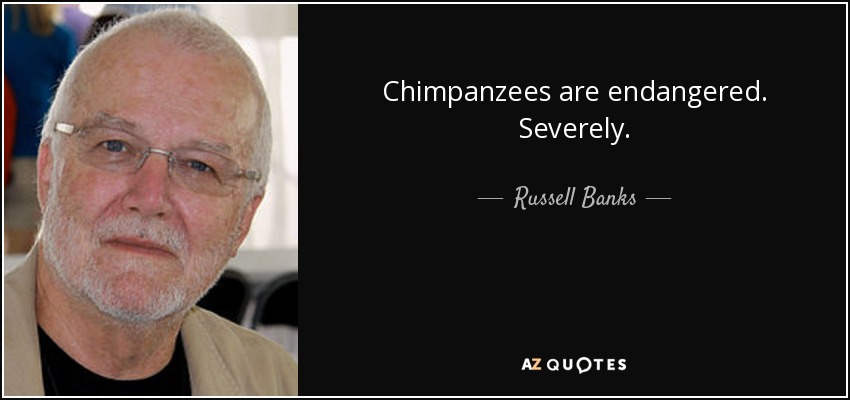 Chimpanzees are endangered. Severely. - Russell Banks