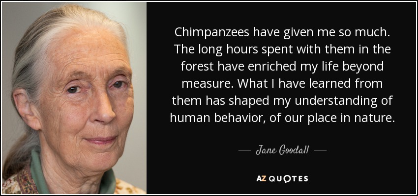 Chimpanzees have given me so much. The long hours spent with them in the forest have enriched my life beyond measure. What I have learned from them has shaped my understanding of human behavior, of our place in nature. - Jane Goodall