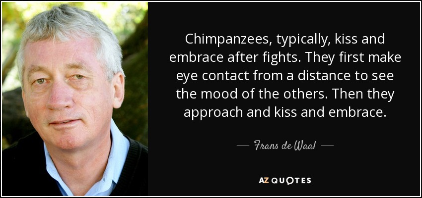 Chimpanzees, typically, kiss and embrace after fights. They first make eye contact from a distance to see the mood of the others. Then they approach and kiss and embrace. - Frans de Waal