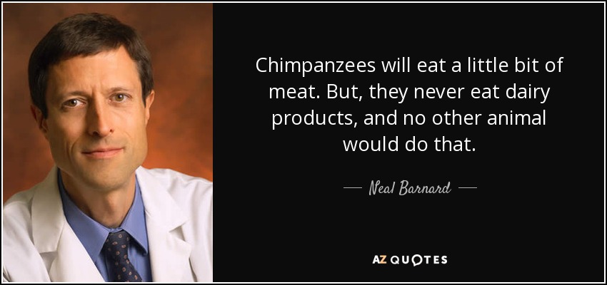 Chimpanzees will eat a little bit of meat. But, they never eat dairy products, and no other animal would do that. - Neal Barnard