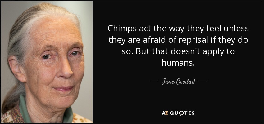 Chimps act the way they feel unless they are afraid of reprisal if they do so. But that doesn't apply to humans. - Jane Goodall