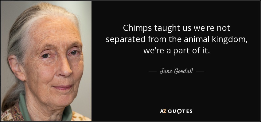 Chimps taught us we're not separated from the animal kingdom, we're a part of it. - Jane Goodall