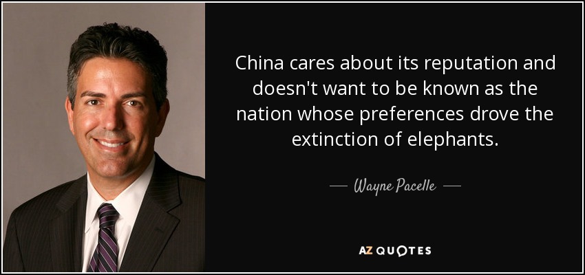 China cares about its reputation and doesn't want to be known as the nation whose preferences drove the extinction of elephants. - Wayne Pacelle