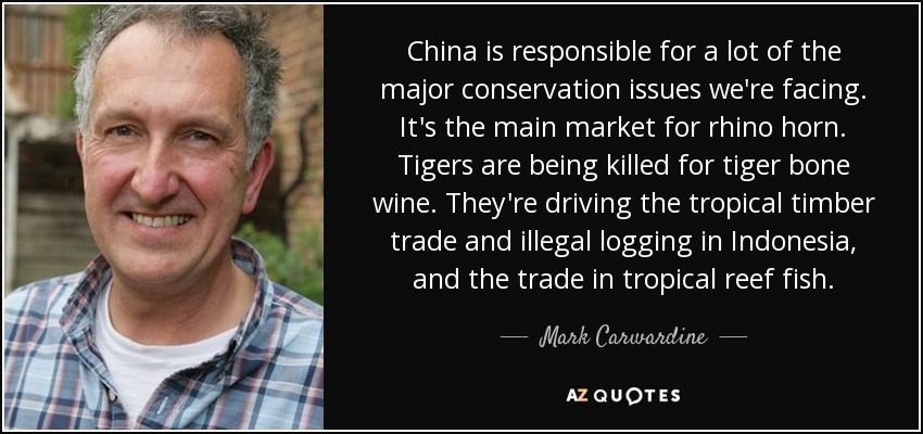 China is responsible for a lot of the major conservation issues we're facing. It's the main market for rhino horn. Tigers are being killed for tiger bone wine. They're driving the tropical timber trade and illegal logging in Indonesia, and the trade in tropical reef fish. - Mark Carwardine