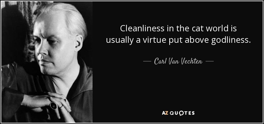 Cleanliness in the cat world is usually a virtue put above godliness. - Carl Van Vechten