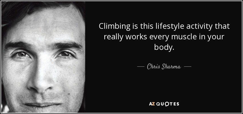 Climbing is this lifestyle activity that really works every muscle in your body. - Chris Sharma