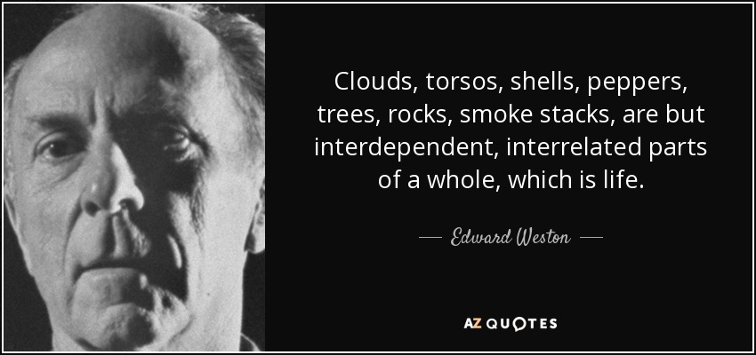 Clouds, torsos, shells, peppers, trees, rocks, smoke stacks, are but interdependent, interrelated parts of a whole, which is life. - Edward Weston