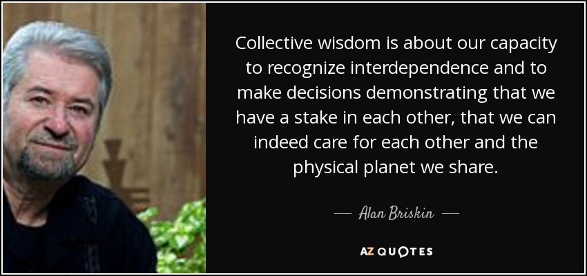 Collective wisdom is about our capacity to recognize interdependence and to make decisions demonstrating that we have a stake in each other, that we can indeed care for each other and the physical planet we share. - Alan Briskin