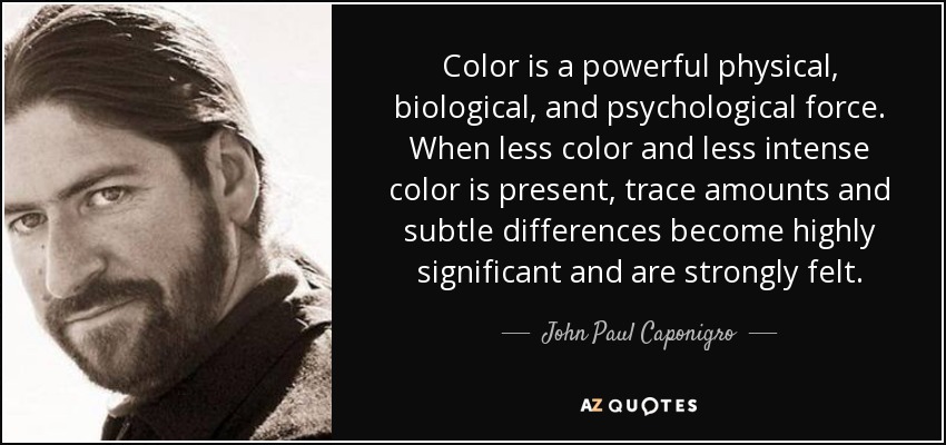 Color is a powerful physical, biological, and psychological force. When less color and less intense color is present, trace amounts and subtle differences become highly significant and are strongly felt. - John Paul Caponigro