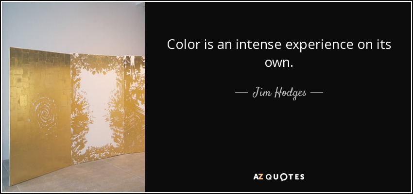 Color is an intense experience on its own. - Jim Hodges