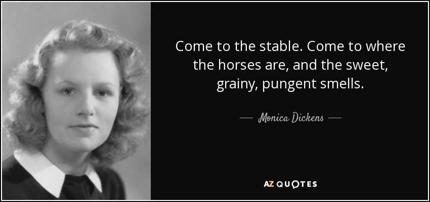 Come to the stable. Come to where the horses are, and the sweet, grainy, pungent smells. - Monica Dickens