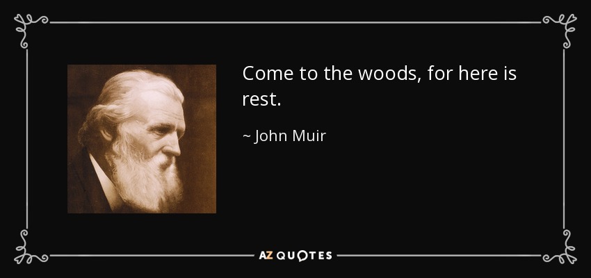 Come to the woods, for here is rest. - John Muir