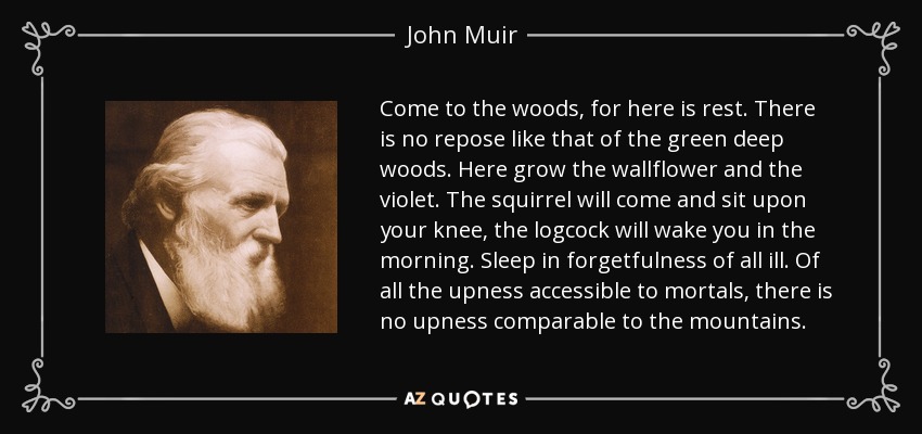 Come to the woods, for here is rest. There is no repose like that of the green deep woods. Here grow the wallflower and the violet. The squirrel will come and sit upon your knee, the logcock will wake you in the morning. Sleep in forgetfulness of all ill. Of all the upness accessible to mortals, there is no upness comparable to the mountains. - John Muir