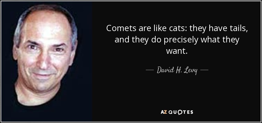 Comets are like cats: they have tails, and they do precisely what they want. - David H. Levy