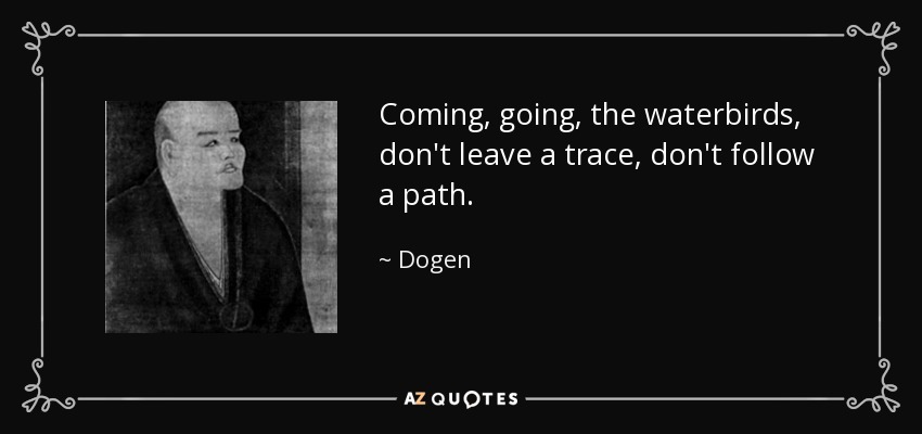 Coming, going, the waterbirds, don't leave a trace, don't follow a path. - Dogen