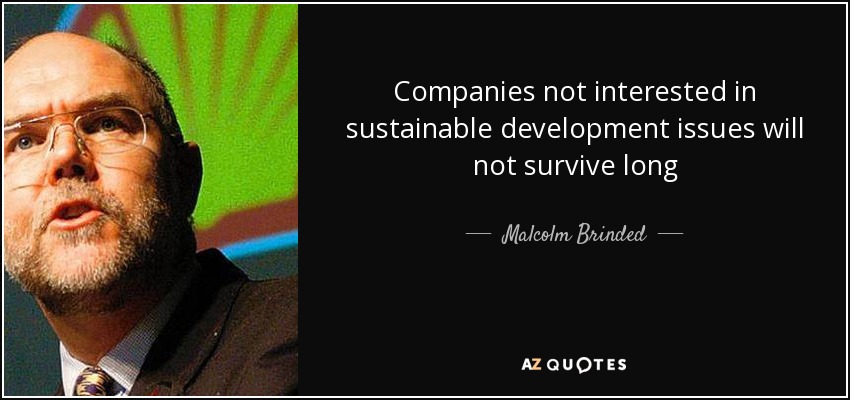 Companies not interested in sustainable development issues will not survive long - Malcolm Brinded