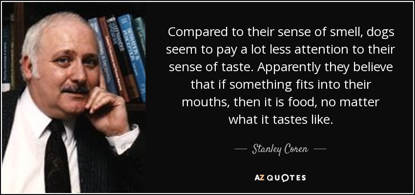 Compared to their sense of smell, dogs seem to pay a lot less attention to their sense of taste. Apparently they believe that if something fits into their mouths, then it is food, no matter what it tastes like. - Stanley Coren