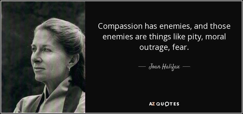 Compassion has enemies, and those enemies are things like pity, moral outrage, fear. - Joan Halifax
