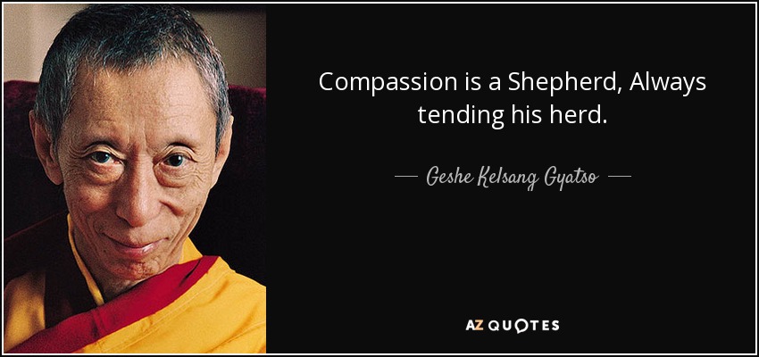 Compassion is a Shepherd, Always tending his herd. - Geshe Kelsang Gyatso