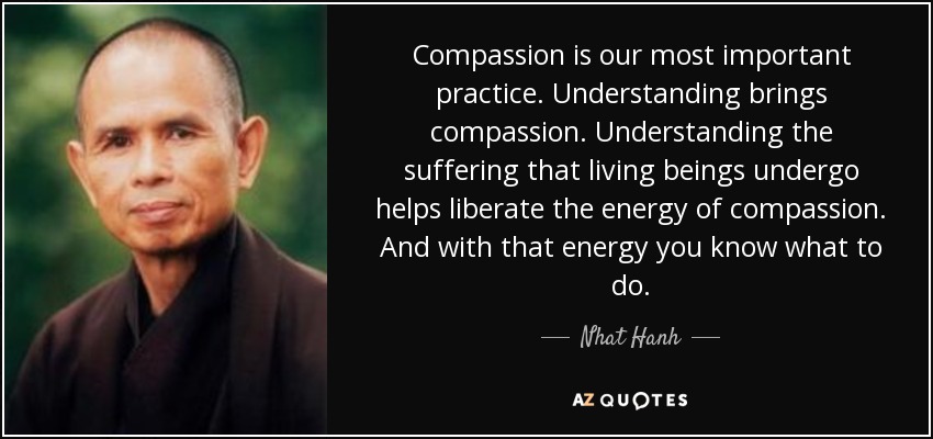 Compassion is our most important practice. Understanding brings compassion. Understanding the suffering that living beings undergo helps liberate the energy of compassion. And with that energy you know what to do. - Nhat Hanh