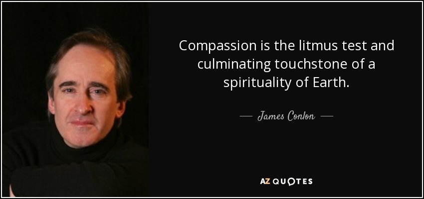 Compassion is the litmus test and culminating touchstone of a spirituality of Earth. - James Conlon