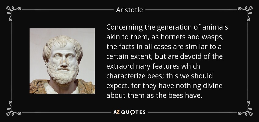 Concerning the generation of animals akin to them, as hornets and wasps, the facts in all cases are similar to a certain extent, but are devoid of the extraordinary features which characterize bees; this we should expect, for they have nothing divine about them as the bees have. - Aristotle