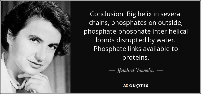 Conclusion: Big helix in several chains, phosphates on outside, phosphate-phosphate inter-helical bonds disrupted by water. Phosphate links available to proteins. - Rosalind Franklin