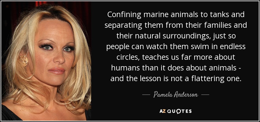 Confining marine animals to tanks and separating them from their families and their natural surroundings, just so people can watch them swim in endless circles, teaches us far more about humans than it does about animals - and the lesson is not a flattering one. - Pamela Anderson