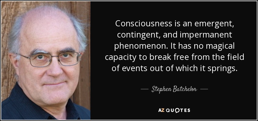 Consciousness is an emergent, contingent, and impermanent phenomenon. It has no magical capacity to break free from the field of events out of which it springs. - Stephen Batchelor