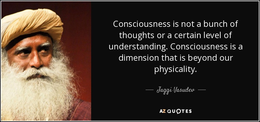 Consciousness is not a bunch of thoughts or a certain level of understanding. Consciousness is a dimension that is beyond our physicality. - Jaggi Vasudev