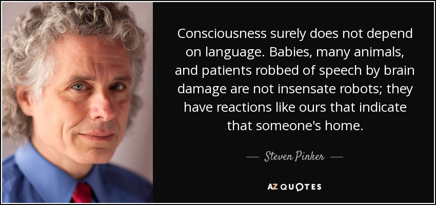 Consciousness surely does not depend on language. Babies, many animals, and patients robbed of speech by brain damage are not insensate robots; they have reactions like ours that indicate that someone's home. - Steven Pinker