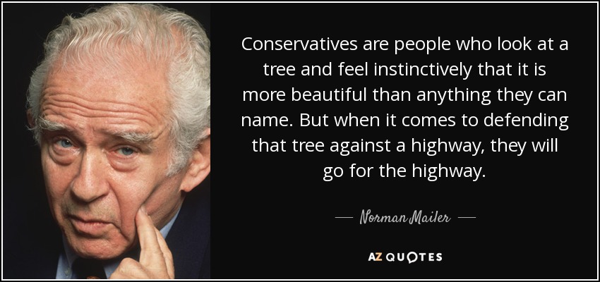 Conservatives are people who look at a tree and feel instinctively that it is more beautiful than anything they can name. But when it comes to defending that tree against a highway, they will go for the highway. - Norman Mailer