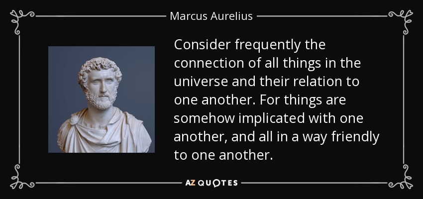 Consider frequently the connection of all things in the universe and their relation to one another. For things are somehow implicated with one another, and all in a way friendly to one another. - Marcus Aurelius
