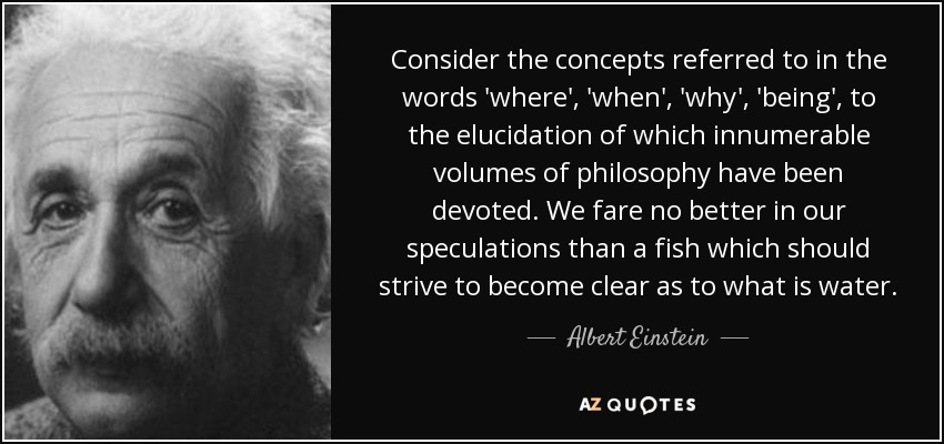 Consider the concepts referred to in the words 'where', 'when', 'why', 'being', to the elucidation of which innumerable volumes of philosophy have been devoted. We fare no better in our speculations than a fish which should strive to become clear as to what is water. - Albert Einstein