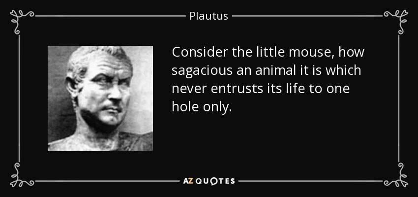Consider the little mouse, how sagacious an animal it is which never entrusts its life to one hole only. - Plautus