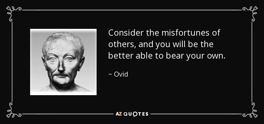 Consider the misfortunes of others, and you will be the better able to bear your own. - Ovid