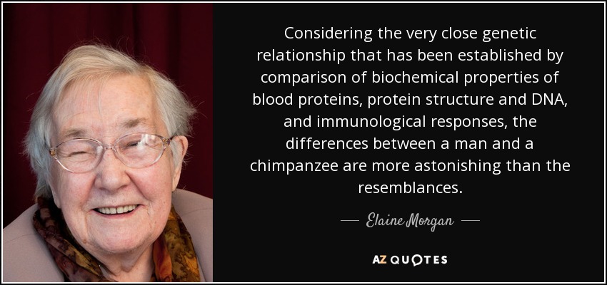 Considering the very close genetic relationship that has been established by comparison of biochemical properties of blood proteins, protein structure and DNA, and immunological responses, the differences between a man and a chimpanzee are more astonishing than the resemblances. - Elaine Morgan