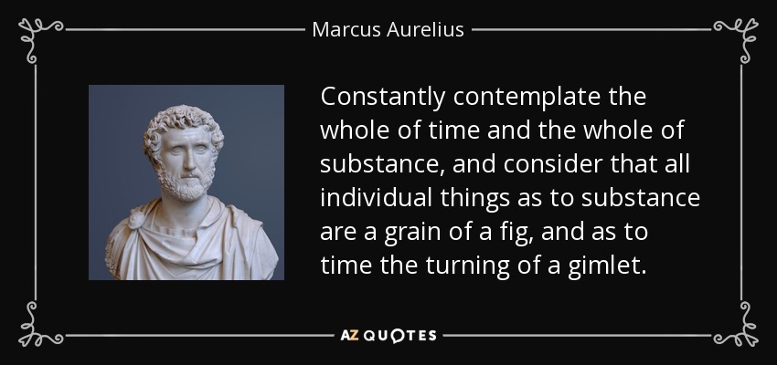 Constantly contemplate the whole of time and the whole of substance, and consider that all individual things as to substance are a grain of a fig, and as to time the turning of a gimlet . - Marcus Aurelius