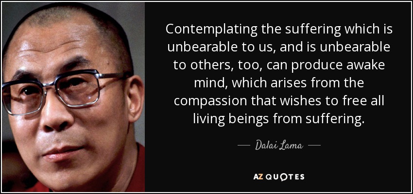 Contemplating the suffering which is unbearable to us, and is unbearable to others, too, can produce awake mind, which arises from the compassion that wishes to free all living beings from suffering. - Dalai Lama
