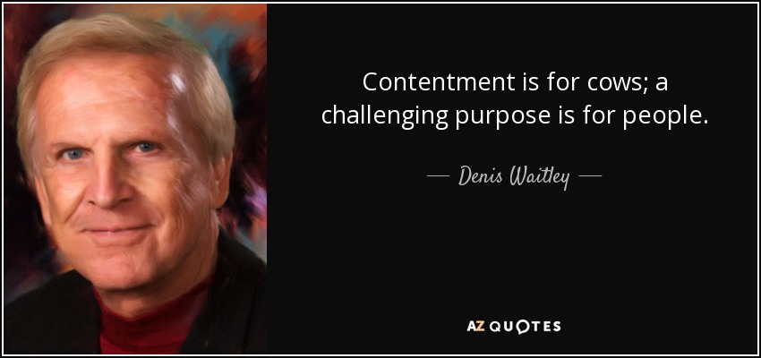 Contentment is for cows; a challenging purpose is for people. - Denis Waitley