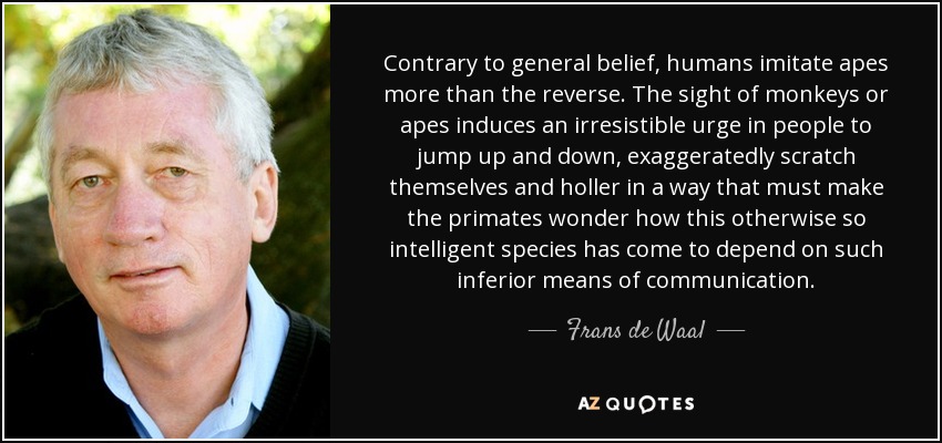 Contrary to general belief, humans imitate apes more than the reverse. The sight of monkeys or apes induces an irresistible urge in people to jump up and down, exaggeratedly scratch themselves and holler in a way that must make the primates wonder how this otherwise so intelligent species has come to depend on such inferior means of communication. - Frans de Waal