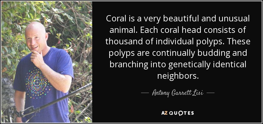 Coral is a very beautiful and unusual animal. Each coral head consists of thousand of individual polyps. These polyps are continually budding and branching into genetically identical neighbors. - Antony Garrett Lisi