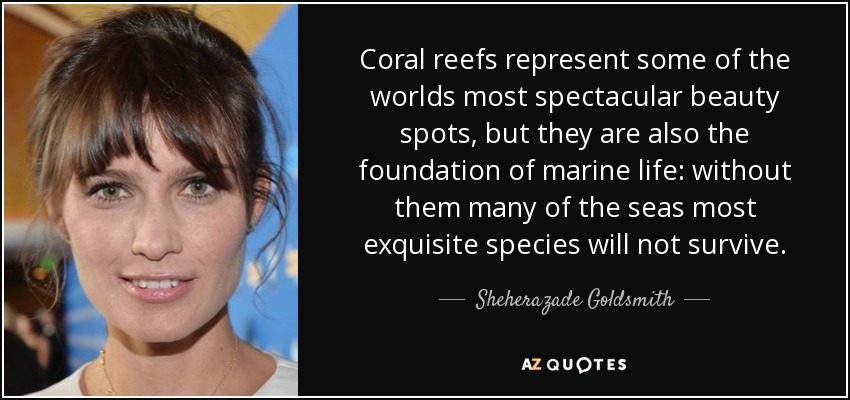 Coral reefs represent some of the worlds most spectacular beauty spots, but they are also the foundation of marine life: without them many of the seas most exquisite species will not survive. - Sheherazade Goldsmith