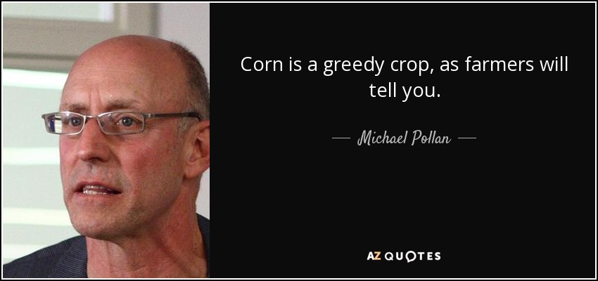 Corn is a greedy crop, as farmers will tell you. - Michael Pollan