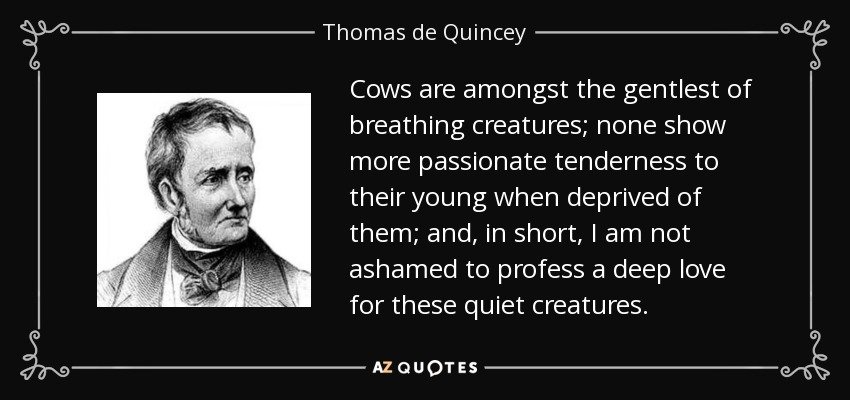 Cows are amongst the gentlest of breathing creatures; none show more passionate tenderness to their young when deprived of them; and, in short, I am not ashamed to profess a deep love for these quiet creatures. - Thomas de Quincey