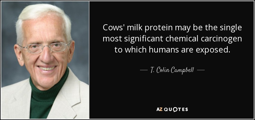 Cows' milk protein may be the single most significant chemical carcinogen to which humans are exposed. - T. Colin Campbell