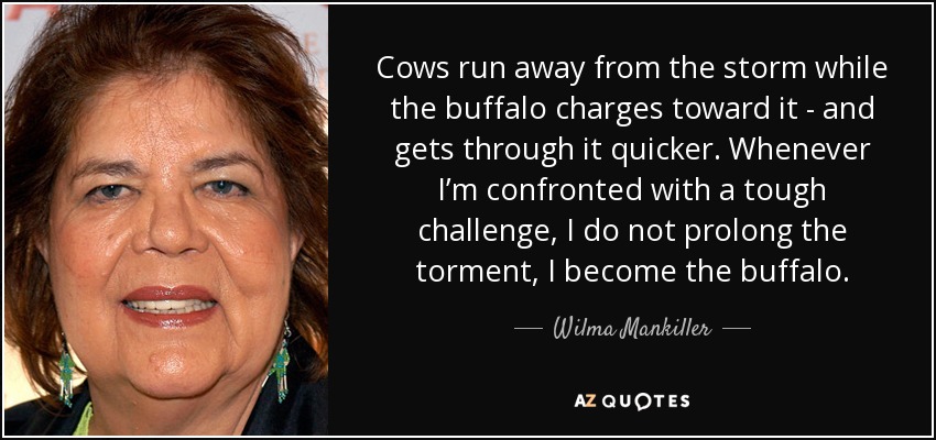 Cows run away from the storm while the buffalo charges toward it - and gets through it quicker. Whenever I’m confronted with a tough challenge, I do not prolong the torment, I become the buffalo. - Wilma Mankiller